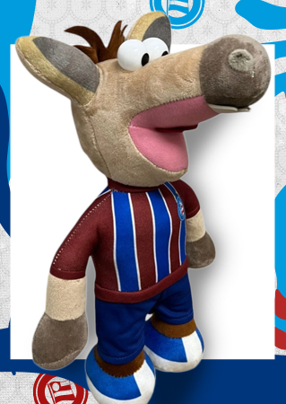 Coleção